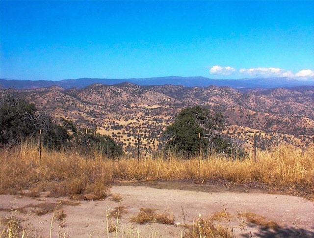 294 Cougar Ln, Yokuts Valley, CA 93675 - photo 3