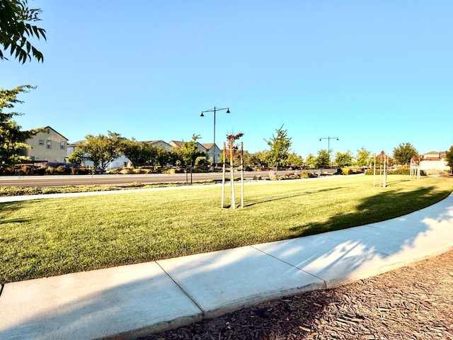 2515 Bush Ct, Lathrop, CA 95330 - photo 46