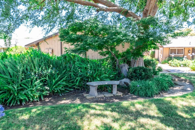 4909 N 7th St Unit S, Fresno, CA 93726 - view of yard