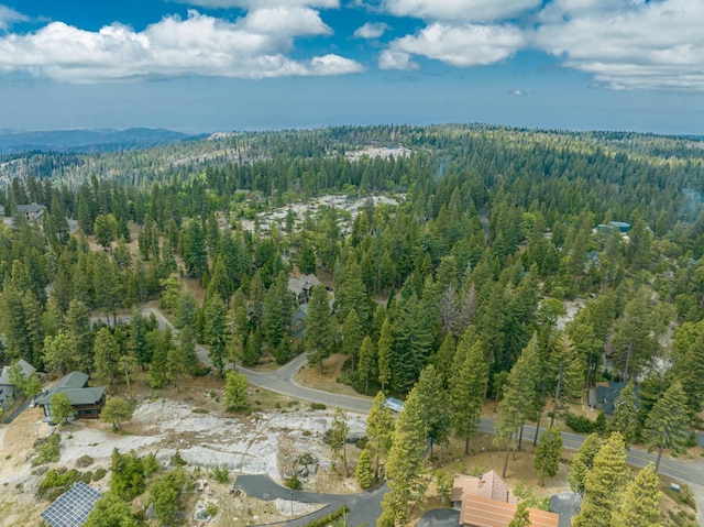 42096 Majestic Ln, Shaver Lake, CA 93664 - photo 29