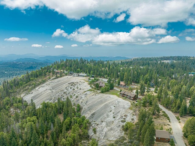 42096 Majestic Ln, Shaver Lake, CA 93664 - photo 21