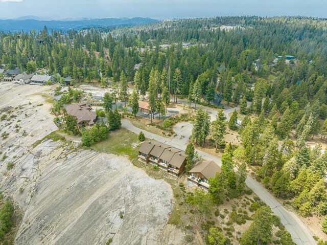 42096 Majestic Ln, Shaver Lake, CA 93664 - photo 5