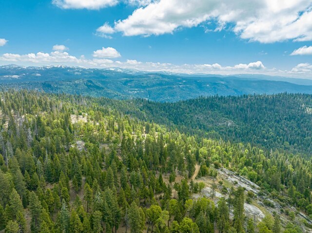 42096 Majestic Ln, Shaver Lake, CA 93664 - photo 33