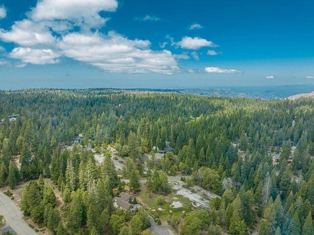 42096 Majestic Ln, Shaver Lake, CA 93664 - photo 31
