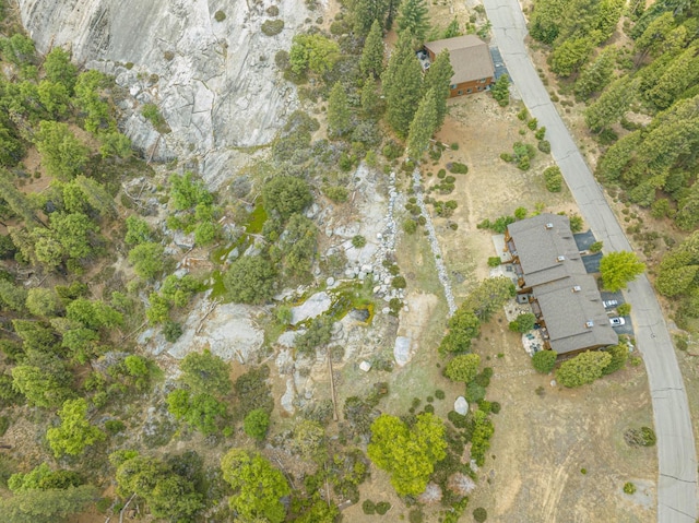 42096 Majestic Ln, Shaver Lake, CA 93664 - photo 4