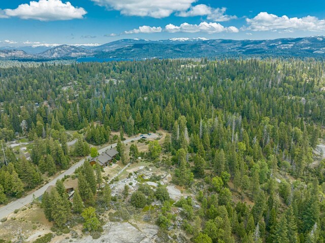 42096 Majestic Ln, Shaver Lake, CA 93664 - photo 34