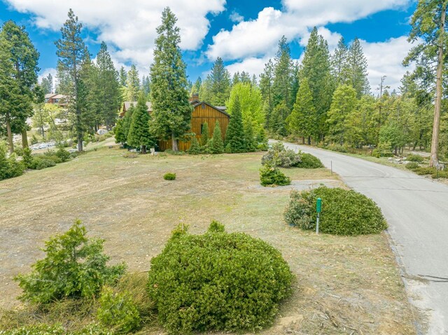 42096 Majestic Ln, Shaver Lake, CA 93664 - photo 26