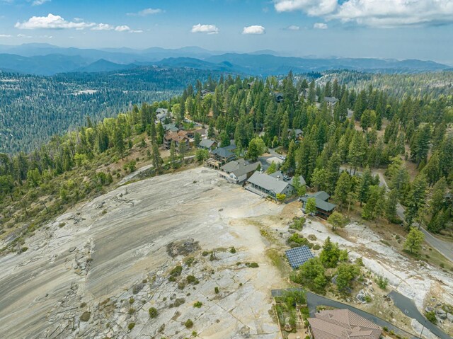 42096 Majestic Ln, Shaver Lake, CA 93664 - photo 20