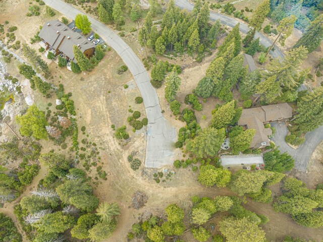 42096 Majestic Ln, Shaver Lake, CA 93664 - photo 28
