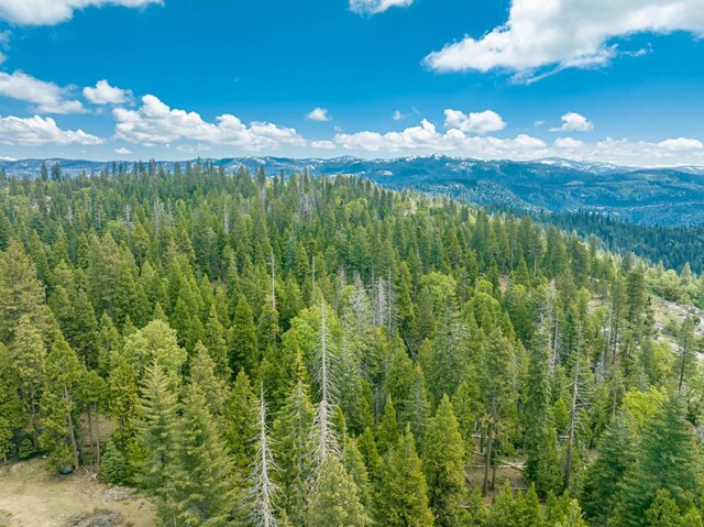 42096 Majestic Ln, Shaver Lake, CA 93664 - photo 17