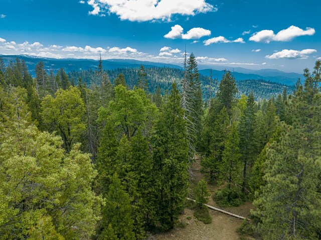 42096 Majestic Ln, Shaver Lake, CA 93664 - photo 10