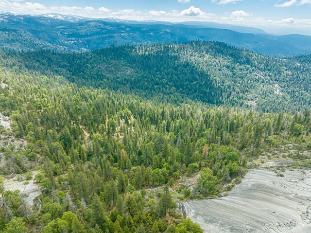 42096 Majestic Ln, Shaver Lake, CA 93664 - photo 15