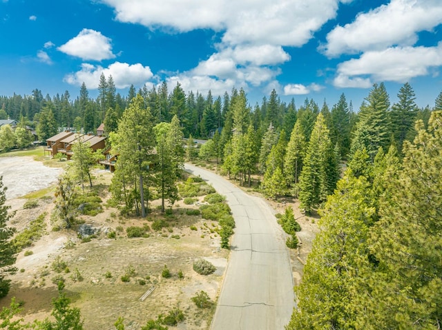 42096 Majestic Ln, Shaver Lake, CA 93664 - photo 2