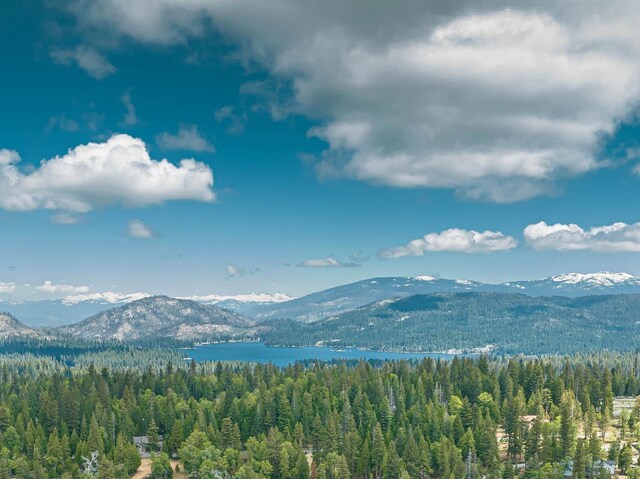 42096 Majestic Ln, Shaver Lake, CA 93664 - photo 32