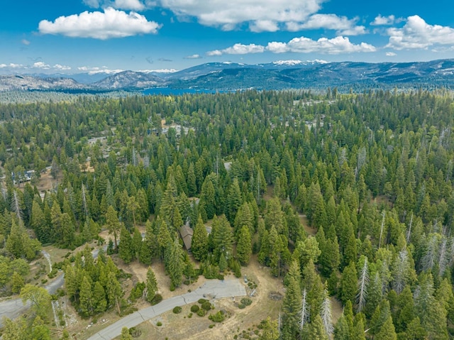 42096 Majestic Ln, Shaver Lake, CA 93664 - photo 36