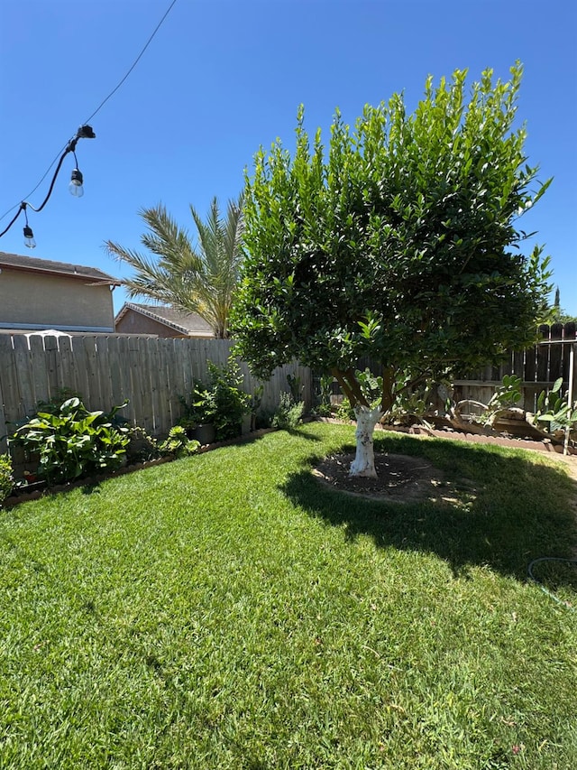 605 W Russell Ave, Visalia, CA 93277 - view of fenced backyard