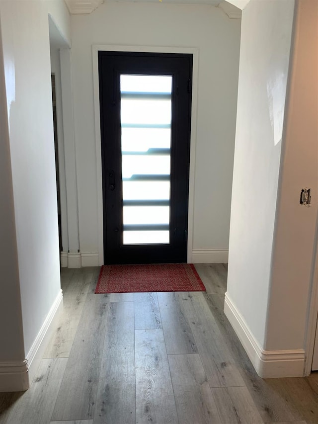 entryway with wood finished floors and healthy amount of natural light