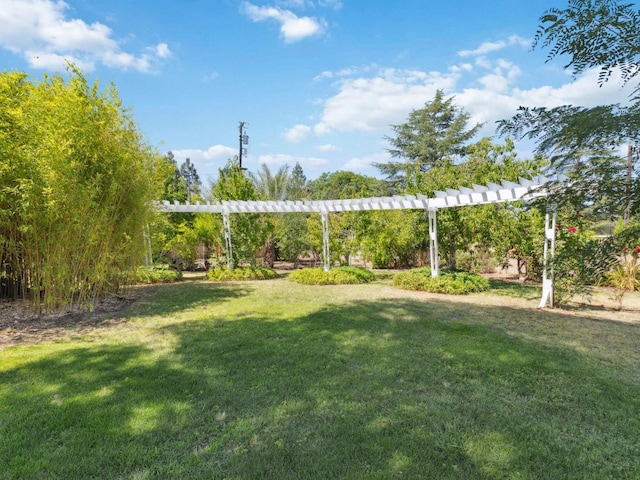 10472 Rolling Hills Dr, Madera, CA 93636 - photo 41