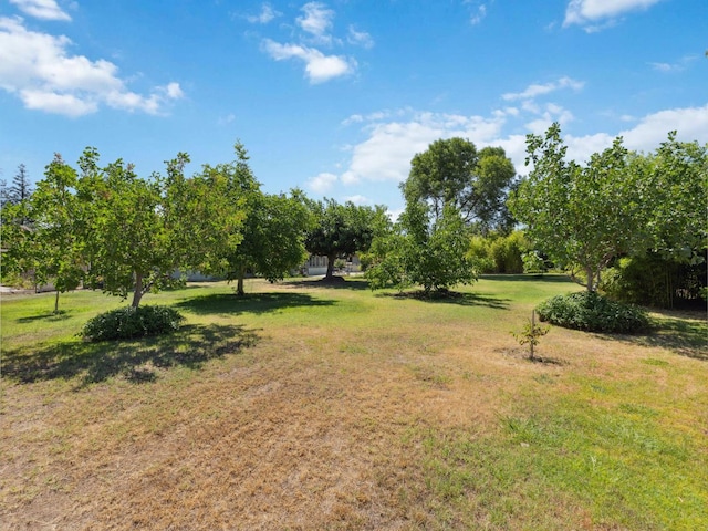 10472 Rolling Hills Dr, Madera, CA 93636 - photo 45