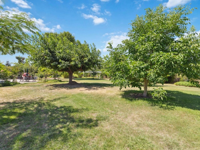 10472 Rolling Hills Dr, Madera, CA 93636 - photo 44