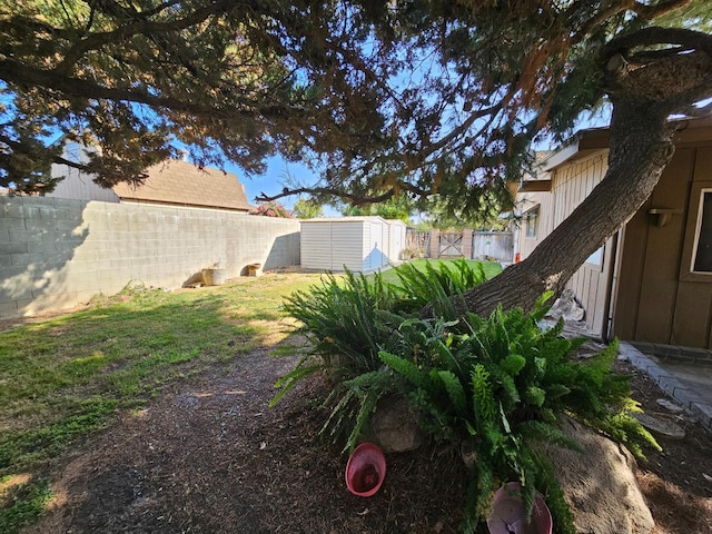 1 Adams Dr, Chowchilla, CA 93610 - fenced backyard featuring a shed