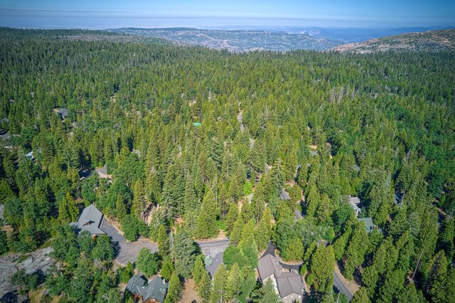 42319 Granite Rim, Shaver Lake, CA 93664 - photo 54