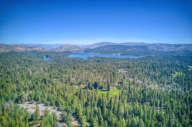 42319 Granite Rim, Shaver Lake, CA 93664 - photo 55
