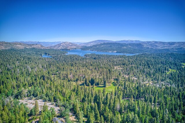 42319 Granite Rim, Shaver Lake, CA 93664 - photo 45