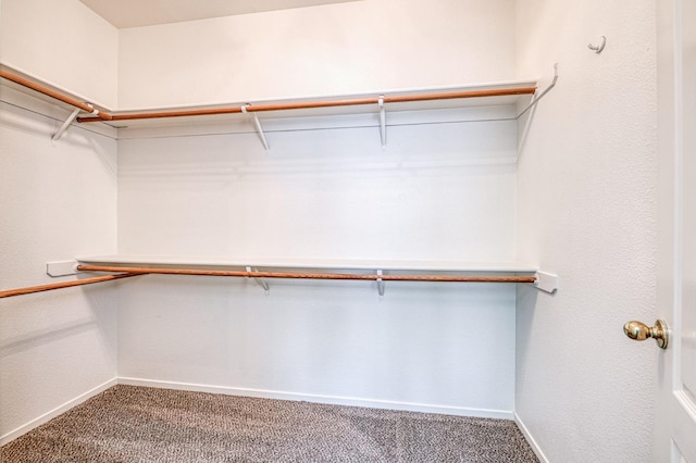 1224 Oak Ave, Clovis, CA 93611 - spacious closet featuring carpet floors