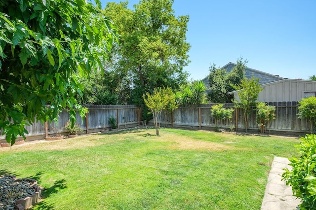 920 W 6th St, Madera, CA 93637 - view of fenced backyard