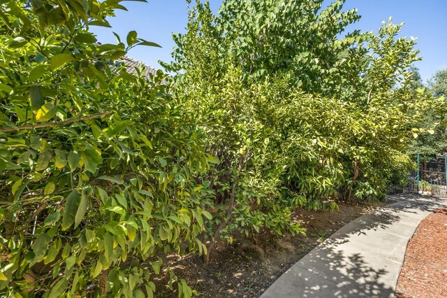 3624 N Jackie, Visalia, CA 93291 - surrounding community