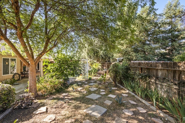 3624 N Jackie, Visalia, CA 93291 - view of fenced backyard
