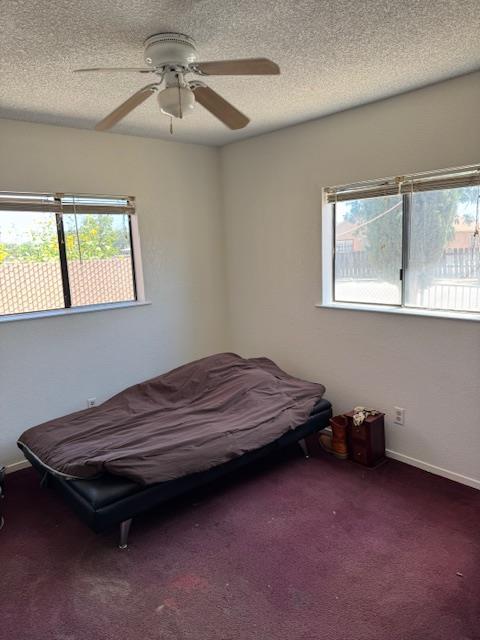 12670 W E St, Biola, CA 93606 - photo 13