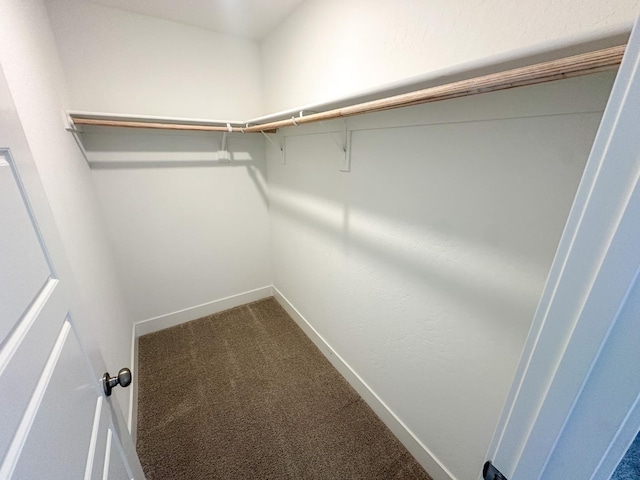 546 W Mahogany, Clovis, CA 93611 - spacious closet featuring dark colored carpet