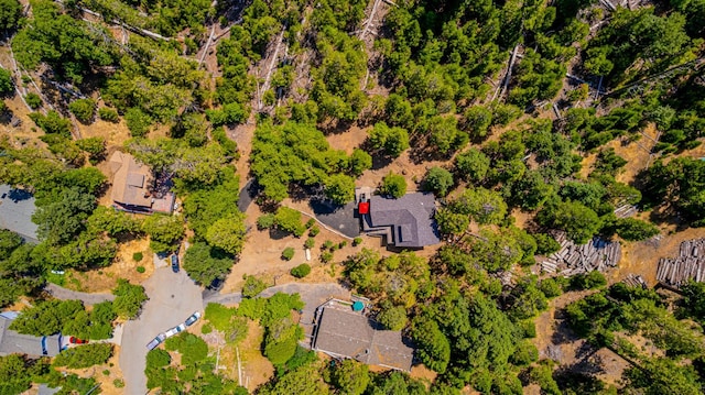 53608 Chipo Poyah, North Fork, CA 93643 - drone / aerial view
