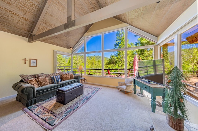 53608 Chipo Poyah, North Fork, CA 93643 - living room with wood ceiling and carpet floors