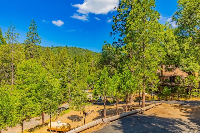 53608 Chipo Poyah, North Fork, CA 93643 - surrounding community with a wooded view