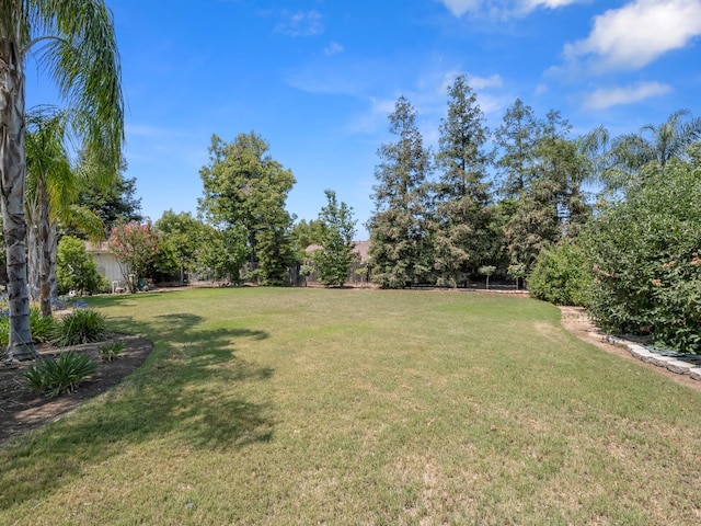 180 N Anderson Ave, Clovis, CA 93612 - view of green lawn