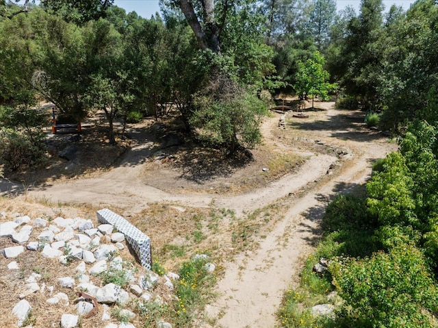 47756 Hopi Ave, Coarsegold, CA 93614 - photo 54