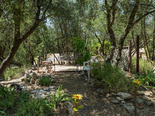 47756 Hopi Ave, Coarsegold, CA 93614 - photo 60