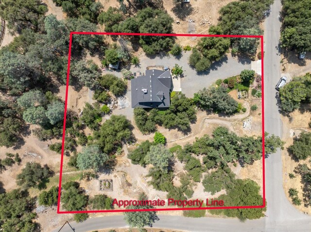 47756 Hopi Ave, Coarsegold, CA 93614 - photo 63