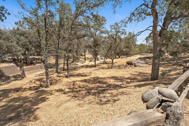 42617 John Muir Dr, Coarsegold, CA 93614 - view of yard