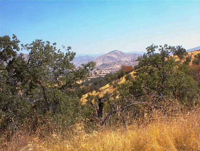 248 Fawn Ln, Yokuts Valley, CA 93675 - photo 17