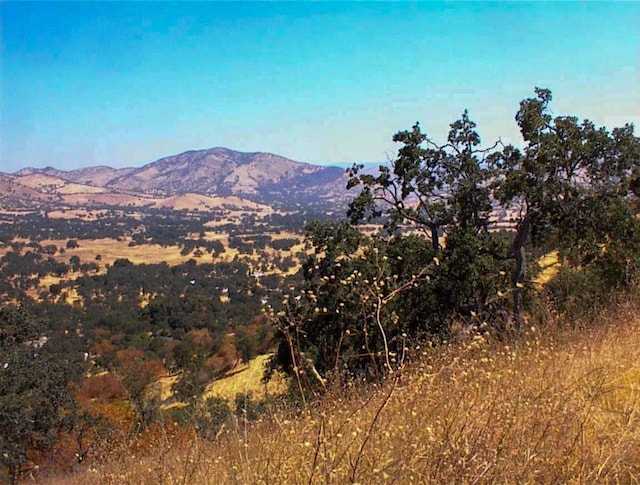248 Fawn Ln, Yokuts Valley, CA 93675 - photo 15