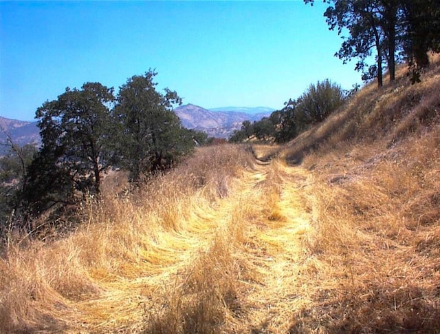 248 Fawn Ln, Yokuts Valley, CA 93675 - photo 6