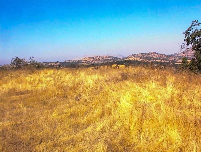 248 Fawn Ln, Yokuts Valley, CA 93675 - photo 9