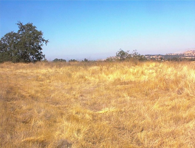 248 Fawn Ln, Yokuts Valley, CA 93675 - photo 10