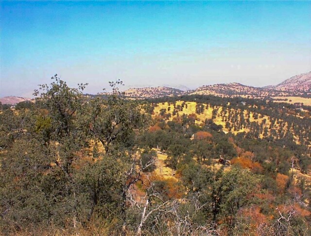 248 Fawn Ln, Yokuts Valley, CA 93675 - photo 12