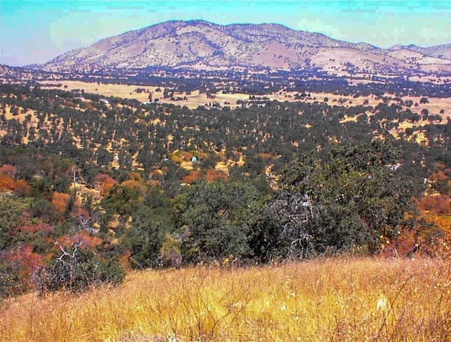 248 Fawn Ln, Yokuts Valley, CA 93675 - photo 16