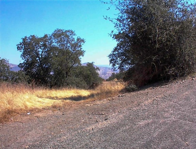 248 Fawn Ln, Yokuts Valley, CA 93675 - photo 5